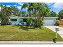 Ranch-style home with a teal exterior, large yard, and palm trees at 1549 Linwood Dr, Clearwater, FL 33755