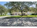 Attractive home with mature shade trees in front yard and long driveway at 12912 Willoughby Ln, Hudson, FL 34667