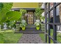 Front entrance with patterned walkway and lush plants at 155 5Th N Ave, St Petersburg, FL 33701