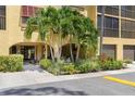 Well-maintained condo building entrance with lush landscaping at 5775 Park N St # 411, St Petersburg, FL 33709