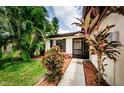 Front entrance with lush landscaping, creating a welcoming atmosphere at 2014 Montego Ct, Oldsmar, FL 34677