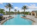 Resort-style pool with ample deck space, palm trees, and a shaded seating area at 15250 Anguilla Isle Ave, Tampa, FL 33647