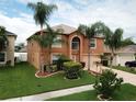 Two-story house with palm trees and landscaped yard at 2719 Mingo Dr, Land O Lakes, FL 34638