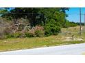 Vacant land with a metal gate and mailbox at 6191 Lockhart Rd, Brooksville, FL 34602