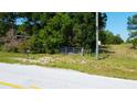 Vacant land with a metal gate and mailbox at 6191 Lockhart Rd, Brooksville, FL 34602