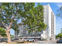 A striking exterior view showcases the towering condominium building with mature trees in front and visible parking at 3211 W Swann Ave # 808, Tampa, FL 33609