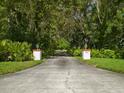 Long, tree-lined driveway leading to property entrance, offering privacy at 6049 Patricia Pl, Weeki Wachee, FL 34607