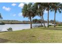 Spacious backyard with grassy area and palm trees overlooking the river at 8064 Marys Fish Camp Rd, Weeki Wachee, FL 34607
