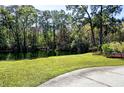 Serene backyard oasis with lush landscaping and a tranquil pond view at 1873 Mazo Mnr # T5, Lutz, FL 33558
