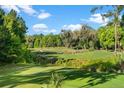 Picturesque golf course view with lush greenery at 5575 Creek Ridge Rd, Brooksville, FL 34601