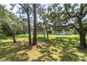 View 18940 Black Gum Ct Hudson FL