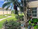Landscaped area with tropical plants and walkway at 5123 Topaz Ln # 105, New Port Richey, FL 34652