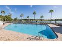 Community pool with palm trees, lounge chairs, and a surrounding patio at 1633 Arbor Knoll Loop, Trinity, FL 34655