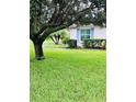 Landscaped side yard with a large tree and manicured lawn at 8141 Bugle Ct # 1, Port Richey, FL 34668
