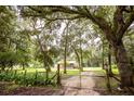 Brick ranch home nestled on a spacious lot with lush landscaping at 24514 Audubon Dr, Brooksville, FL 34601