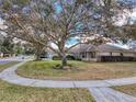 One-story house with a large tree and walkway at 31248 Satinleaf Run, Brooksville, FL 34602