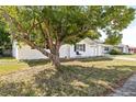Side view of a charming ranch home with white brick exterior and mature tree at 7240 Nova Scotia Dr, Port Richey, FL 34668