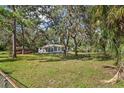 Small white house on a grassy lot with mature trees at 9305 Kiowa Dr, New Port Richey, FL 34654