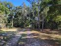 Dirt road leading into a wooded area at 13080 Old Crystal River Rd, Brooksville, FL 34601