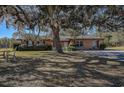Brick ranch house with a large oak tree in the front yard at 10525 Hilltop Dr, New Port Richey, FL 34654