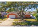 Ranch style home with a large tree and driveway at 465 Meadowlark Ln, Palm Harbor, FL 34683