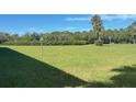 Spacious grassy backyard with palm trees and landscape lighting at 4901 Onyx Ln # 202, New Port Richey, FL 34652