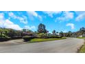 Residential street with houses and palm trees at 8700 Cessna Dr, New Port Richey, FL 34654