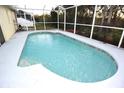 Inviting kidney-shaped swimming pool with a screened enclosure at 1705 Audubon Trl, Lutz, FL 33549