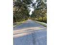 Landscaped tree-lined street showcasing a desirable neighborhood at 1922 Oswego Dr, Holiday, FL 34691