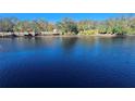 Serene waterfront view with a wooden dock and lush greenery at 7222 N Ola Ave, Tampa, FL 33604