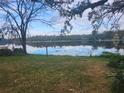 Serene lake view from lakeside property at 3606 River Grove Dr, Tampa, FL 33610