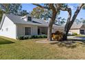 Single-story home with white exterior, large trees, and green lawn at 6409 Wedgewood Dr, Spring Hill, FL 34606