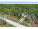 Overhead view of the home situated on a lot surrounded by dense trees and mature landscaping at 11085 Stilt Ave, Brooksville, FL 34614