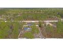 Expansive property featuring a fenced yard, above ground pool and surrounded by lush greenery at 13094 Tailorbird Ave, Brooksville, FL 34614
