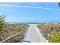 Sandy path leading to the beach with lush vegetation and clear blue skies at 6800 Sunset Way # 1006, St Pete Beach, FL 33706
