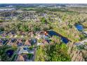 Aerial view of a residential area, showcasing a beautiful pond and the location of the property at 28752 Falling Leaves Way, Wesley Chapel, FL 33543