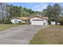 Inviting single-story house with a two-car garage, long driveway, and additional shed in the backyard at 10615 Casey Dr, New Port Richey, FL 34654