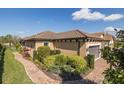 Side view of a one-story home with manicured shrubs, landscaping and a paver walkway at 11383 Callisia Dr, Odessa, FL 33556