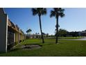 Beautifully landscaped front lawn of a condo community, dotted with palm trees and vibrant greenery at 11140 Carriage Hill Dr # 3, Port Richey, FL 34668