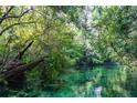 Beautiful clear river with lush green vegetation and trees at 6448 W Richard Dr, Weeki Wachee, FL 34607