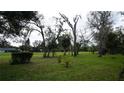 Expansive backyard with lots of trees and green grass at 12816 Wedgewood Way # D, Hudson, FL 34667