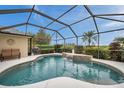 Sparkling screened-in pool with waterfall feature and ample space for relaxation at 2336 Edelweiss Loop, Trinity, FL 34655