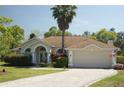 Attractive single-story home with landscaped yard, a two-car garage, and a beautiful palm tree at 11480 Emerald Ridge Ct, Spring Hill, FL 34609