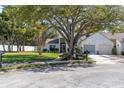 Home featuring a mature tree in the front yard with green grass and tidy landscaping at 11526 Forest Run Ct, Port Richey, FL 34668