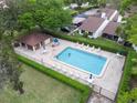 Aerial view of community pool with sun loungers and a mature trees surround at 3590 Magnolia Ridge Cir # 1103-C, Palm Harbor, FL 34684