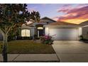Charming single-story home with a well-maintained lawn and a two-car garage, enhanced by a picturesque sunset backdrop at 11023 Silver Dancer Dr, Riverview, FL 33579