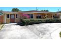 Charming ranch-style home featuring mature landscaping, a concrete driveway, and well-maintained exterior at 4607 N Saint Vincent St, Tampa, FL 33614