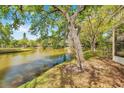 Lush backyard view overlooking a serene pond, with mature trees providing ample shade at 9046 Lake Place Ln # 9046, Tampa, FL 33634