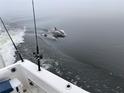 Picture of a dolphin swimming in the water with fishing poles in the background for recreational fishing at 4058 Centavo Ct, Hernando Beach, FL 34607