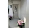 Beautiful white front door with decorative glass and well manicured flower boxes at 7336 Ivory Ter, New Port Richey, FL 34655